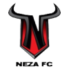 Toros Neza