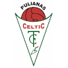 เซลติก ซีเอฟ