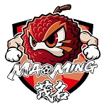 ทีมเหมาหมิง